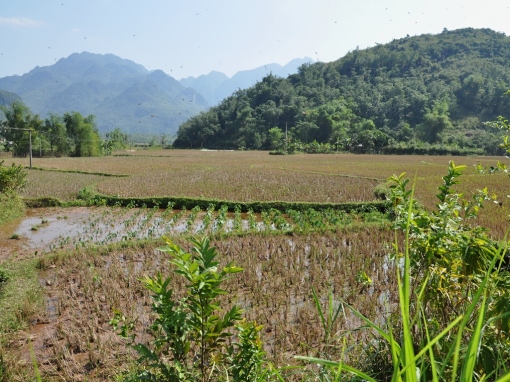 Landschaft Mai Chau